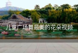 儿童广场舞最美的花朵视频