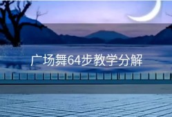 广场舞64步教学分解