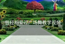 曾经相爱过广场舞教学视频