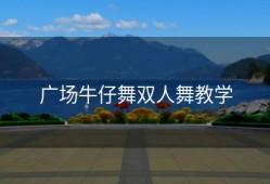 广场牛仔舞双人舞教学