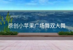 原创小苹果广场舞双人舞