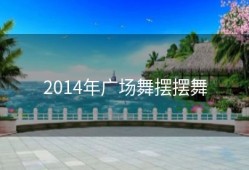 2014年广场舞摆摆舞