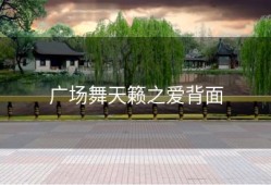 广场舞天籁之爱背面