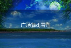 广场舞dj雪莲