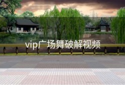vip广场舞破解视频