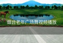 烟台老年广场舞视频播放