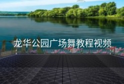 龙华公园广场舞教程视频