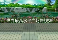 世界最高水平广场舞视频
