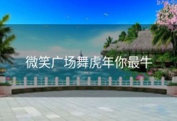 微笑广场舞虎年你最牛