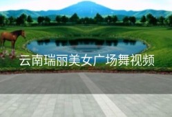 云南瑞丽美女广场舞视频