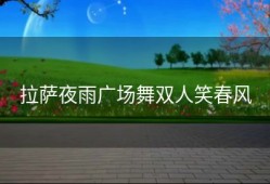 拉萨夜雨广场舞双人笑春风
