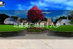 北疆美广场舞十六步