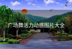 广场舞活力动感图片大全