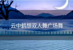 云中鹤想双人舞广场舞