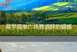 易学简单广场舞酒醉的蝴蝶
