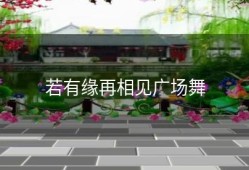 若有缘再相见广场舞
