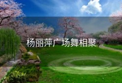 杨丽萍广场舞相聚