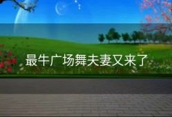 最牛广场舞夫妻又来了