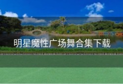 明星魔性广场舞合集下载