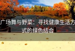 广场舞与野菜：寻找健康生活方式的绿色结合