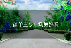 简单三步广场舞好看