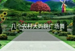几个农村大妈跳广场舞