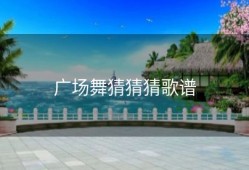 广场舞猜猜猜歌谱