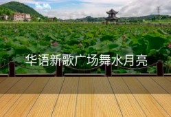 华语新歌广场舞水月亮