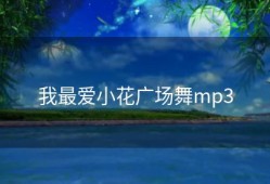 我最爱小花广场舞mp3