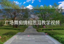 广场舞痴情相思泪教学视频