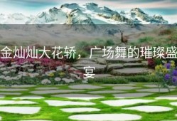 金灿灿大花轿，广场舞的璀璨盛宴