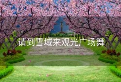 请到雪域来观光广场舞