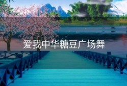 爱我中华糖豆广场舞