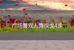 广场舞双人舞探戈4步