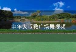 中年大叔教广场舞视频