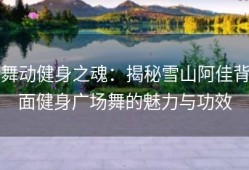 舞动健身之魂：揭秘雪山阿佳背面健身广场舞的魅力与功效