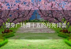 健身广场舞十五的月亮背面