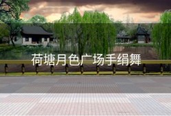 荷塘月色广场手绢舞