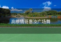高原情哥惠汝广场舞