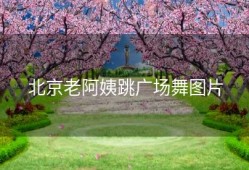 北京老阿姨跳广场舞图片