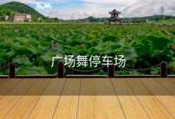 广场舞停车场