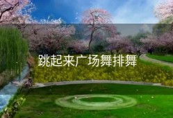 跳起来广场舞排舞