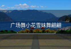 广场舞小花雪妹舞翩翩