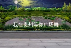 我在贵州等你广场舞
