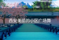 西安美丽的小区广场舞