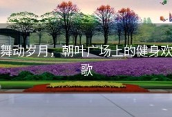 舞动岁月，朝叶广场上的健身欢歌