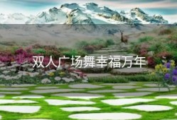 双人广场舞幸福万年