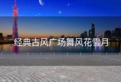 经典古风广场舞风花雪月