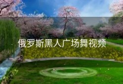 俄罗斯黑人广场舞视频