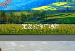 一定耍爱你广场舞